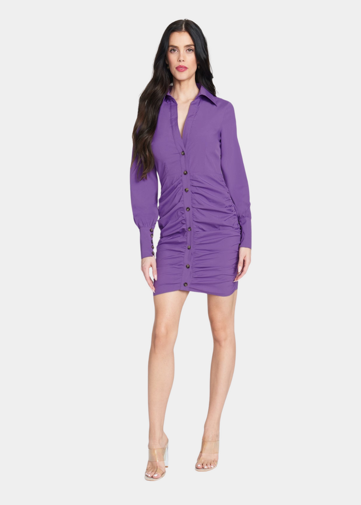 Tall Namilla Collared Mini Dress