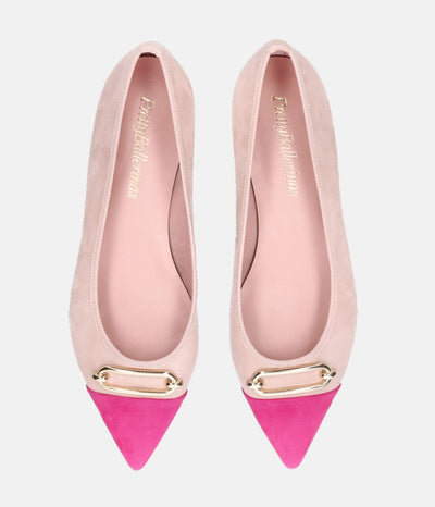 Pretty Ballerinas - Chic Two Tone Pointy Toe