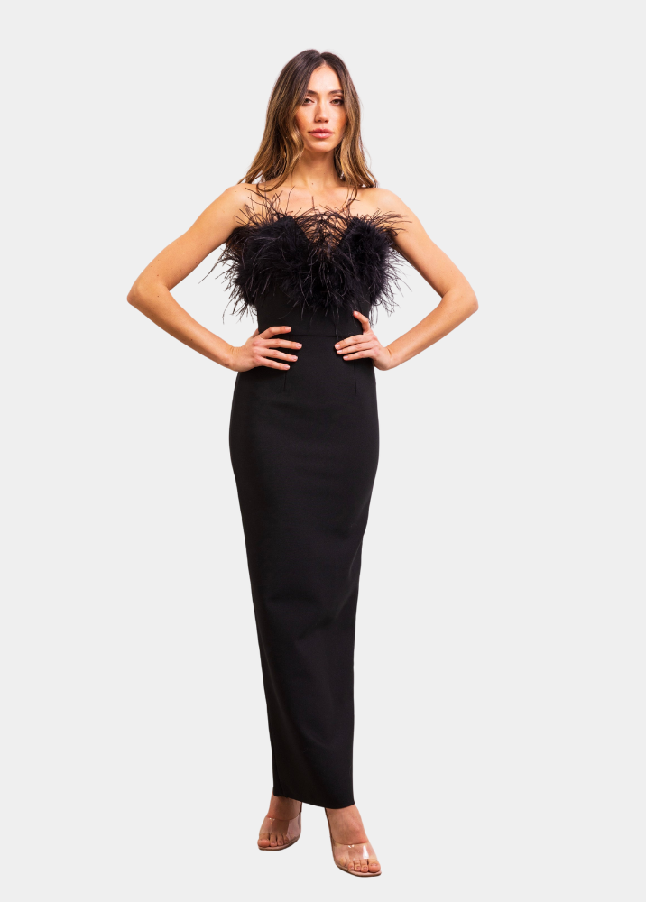 The Art of Silence Feather Maxi Dress in Black