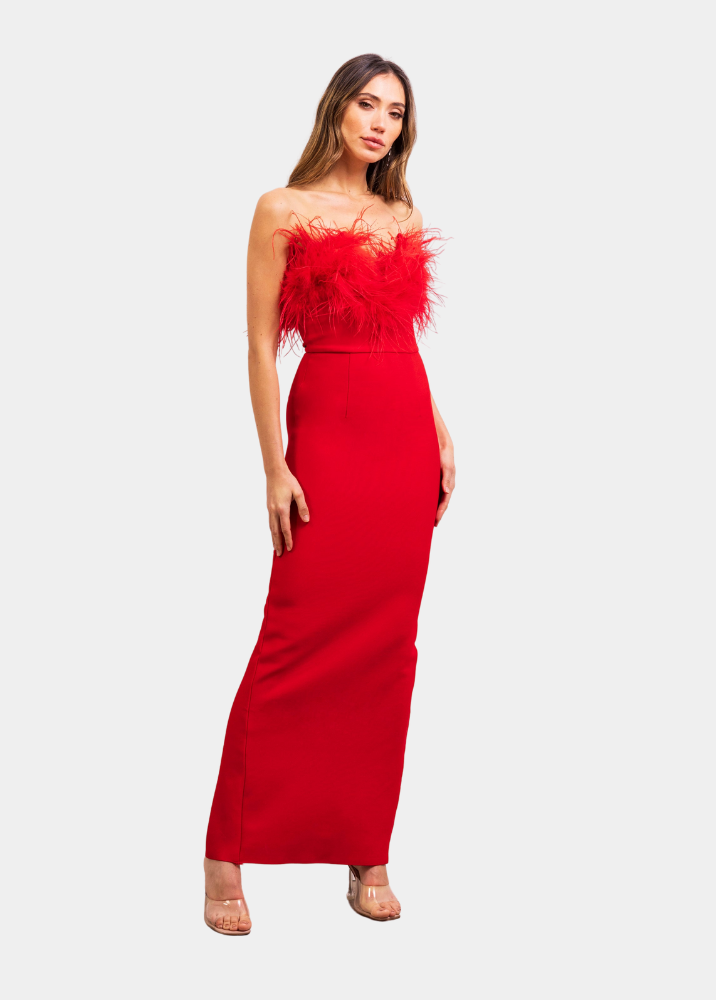 The Art of Silence Feather Maxi Dress in Red