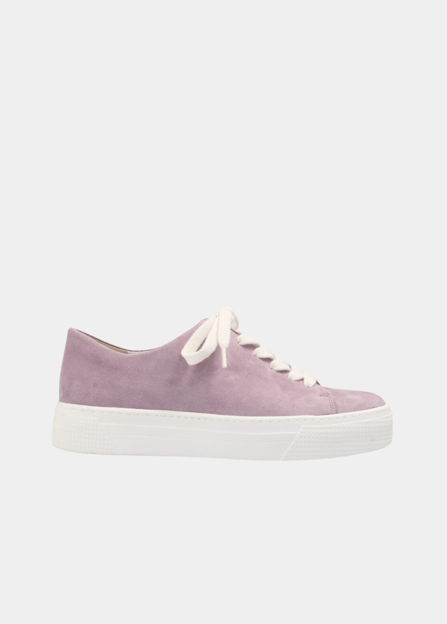 Semler Stylish Lavender Suede Sneaker