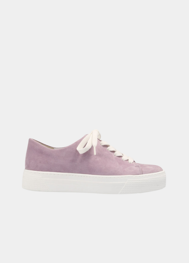 Semler Stylish Lavender Suede Sneaker