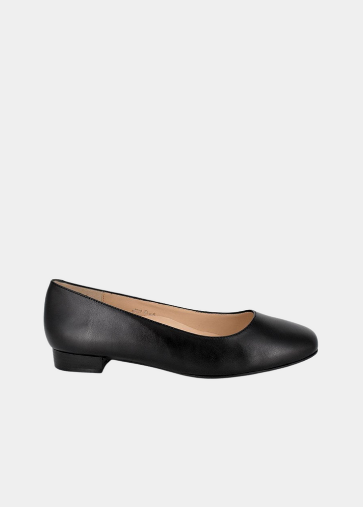 Cinderella Shoes Classic Black Low Heel Shoes