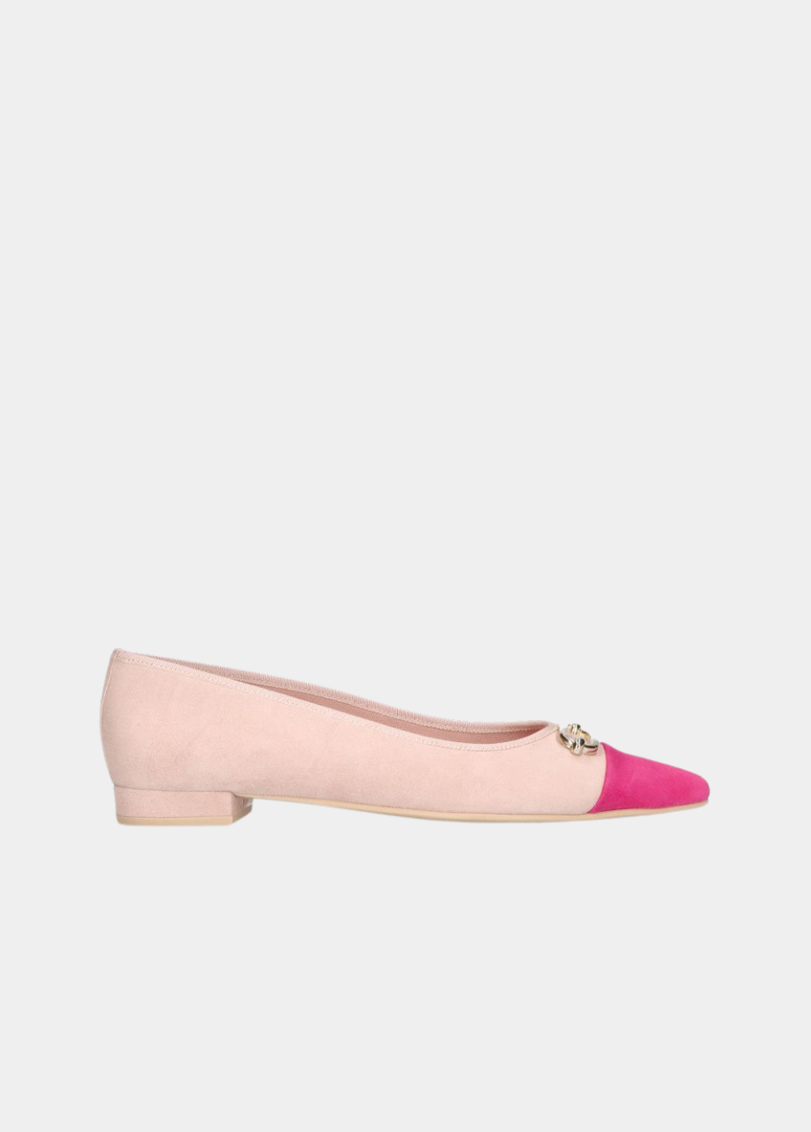 Pretty Ballerinas - Chic Two Tone Pointy Toe