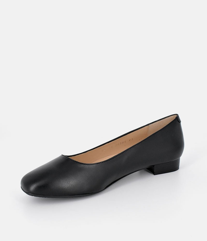 Cinderella Shoes Classic Black Low Heel Shoes