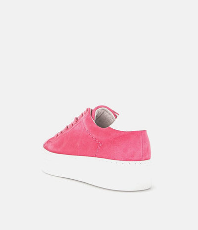 Gabor Trendy Pink Suede Platform Trainers